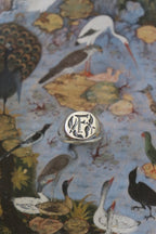 Axis Golondrina "F"
